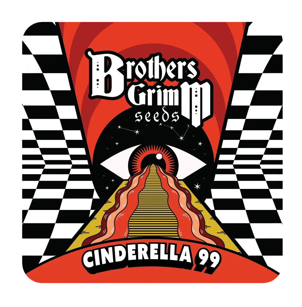 Cinderella 99 – Produktansicht