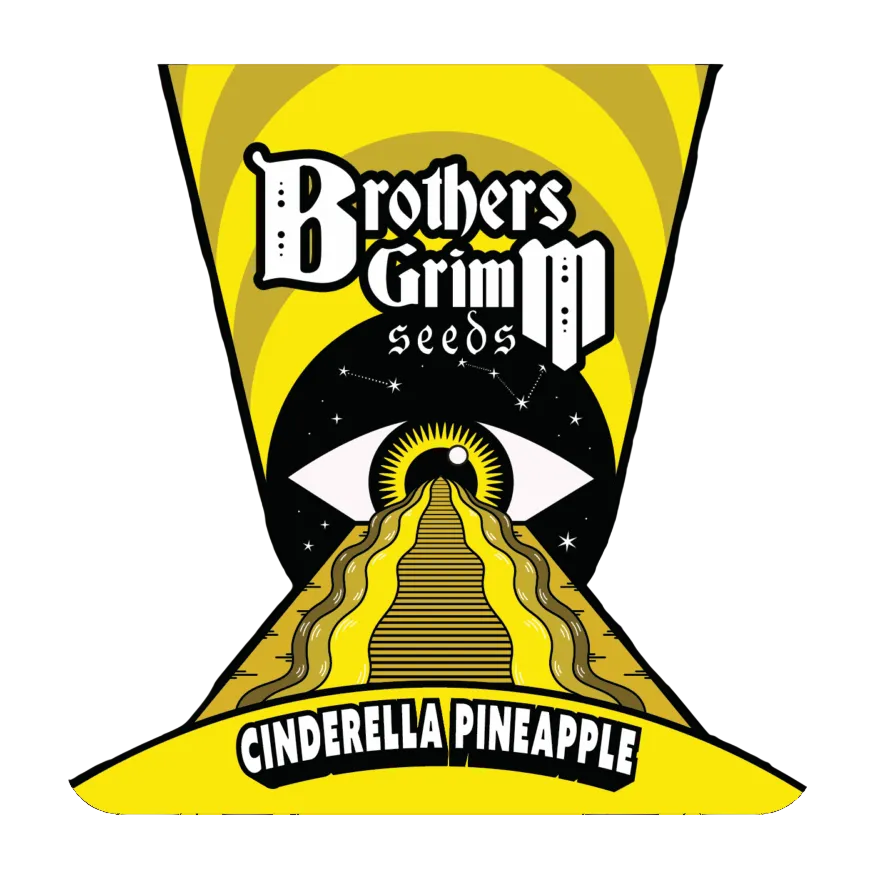 Cinderella Pineapple | PHOTOFEM | Brothers Grimm Seeds