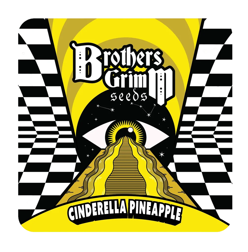 Cinderella Pineapple | PHOTOFEM | Brothers Grimm Seeds