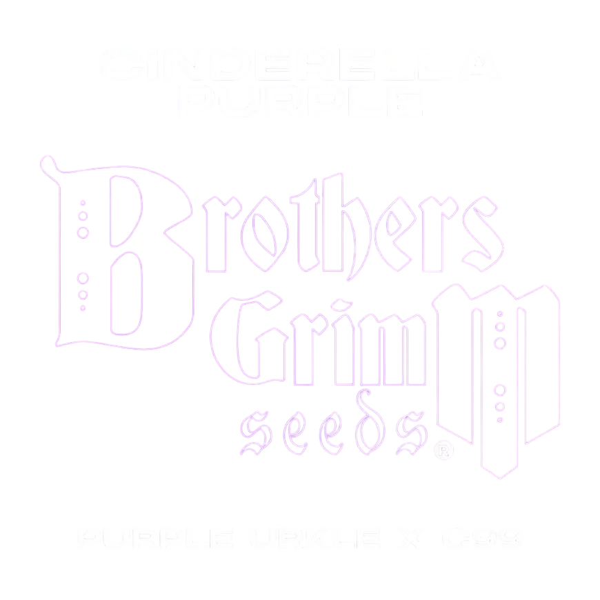 Cinderella Purple | PHOTOFEM | Brothers Grimm Seeds