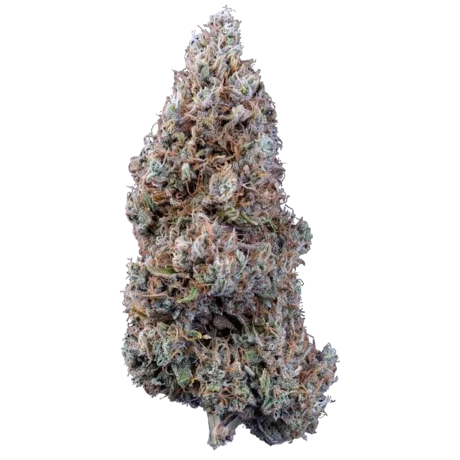 Crème Bubbly Auto – Produktansicht