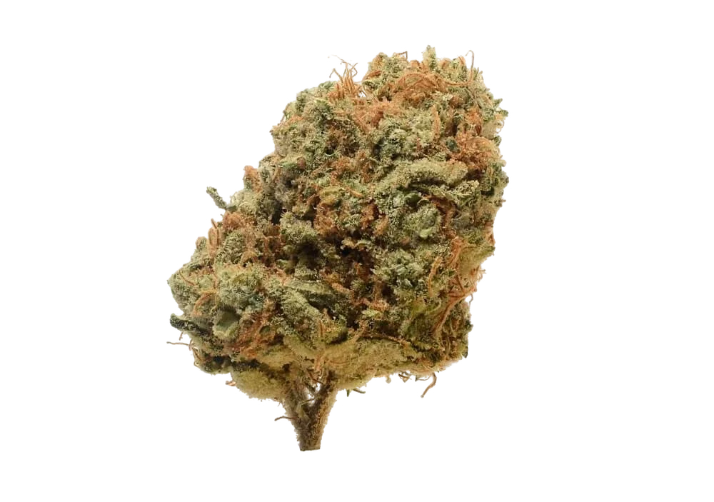 Critical Mass – Produktansicht