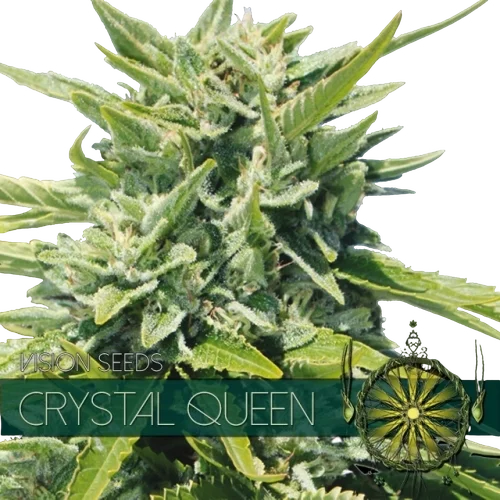 Crystal Queen