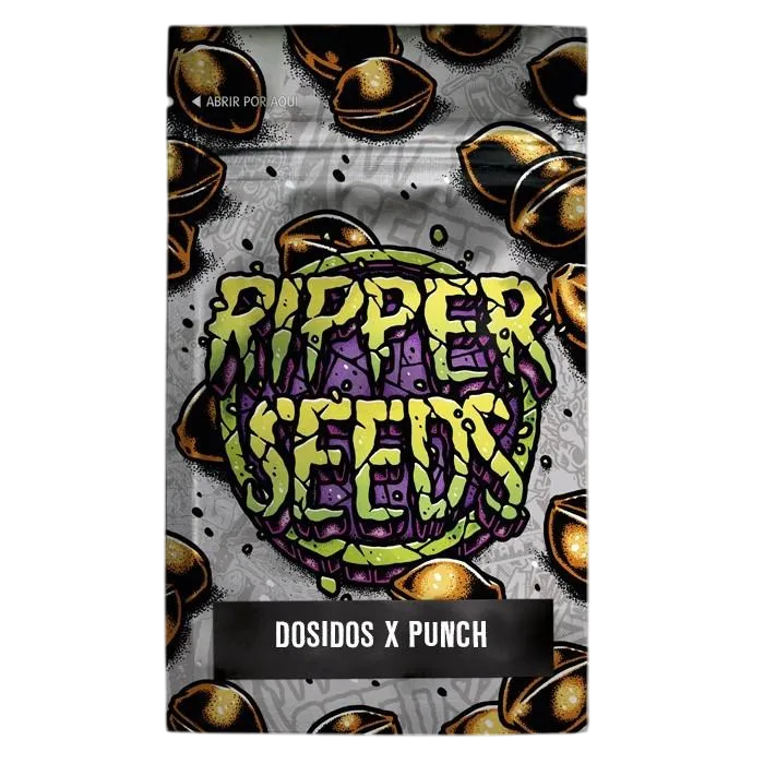 Do-Si-Dos x Purple Punch | PHOTOFEM | Ripper Seeds