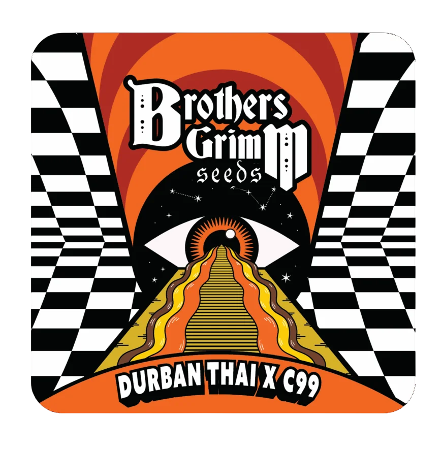 Durban Thai x C99 | PHOTOFEM | Brothers Grimm Seeds