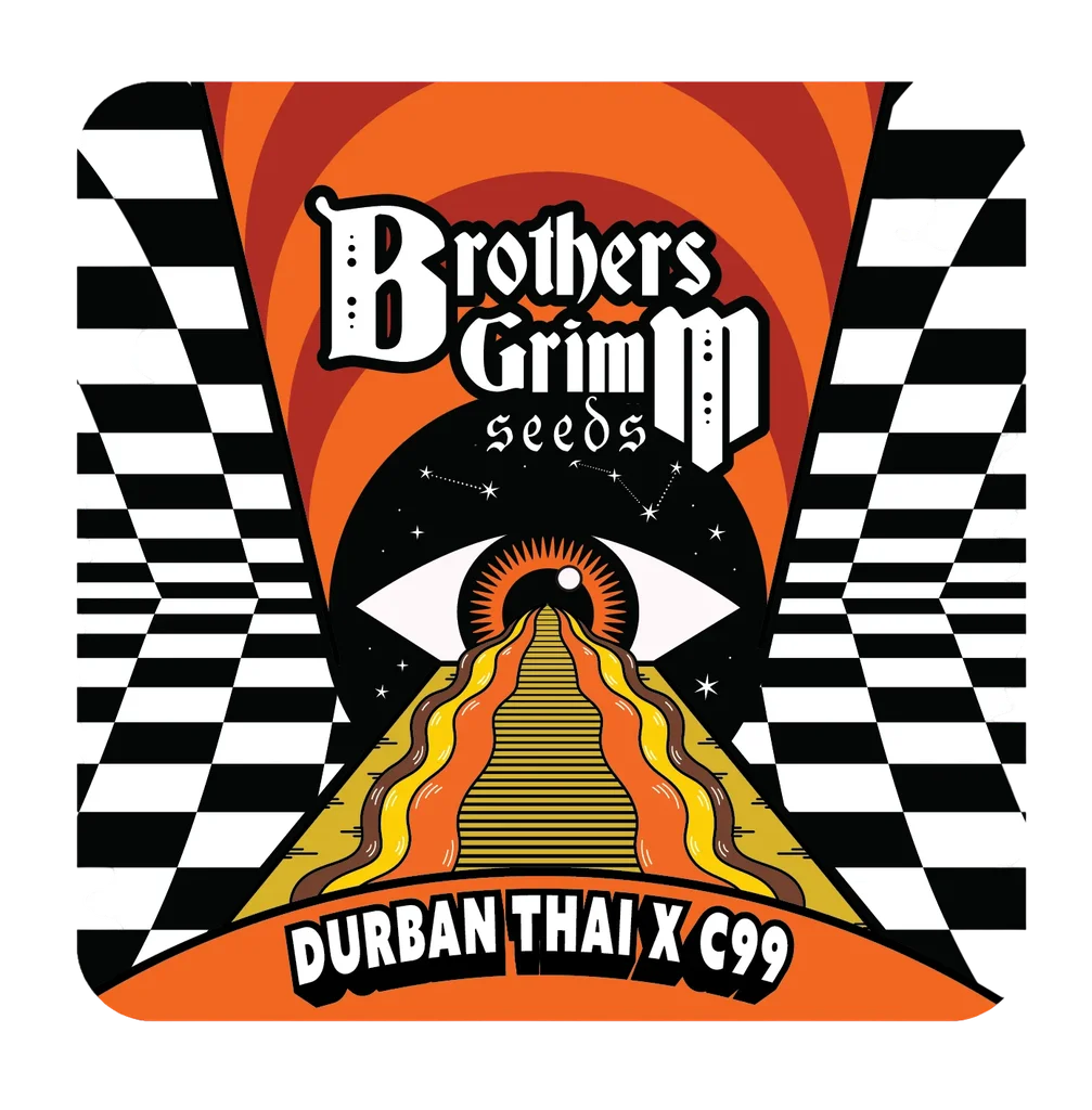 Durban Thai x C99 – Produktansicht