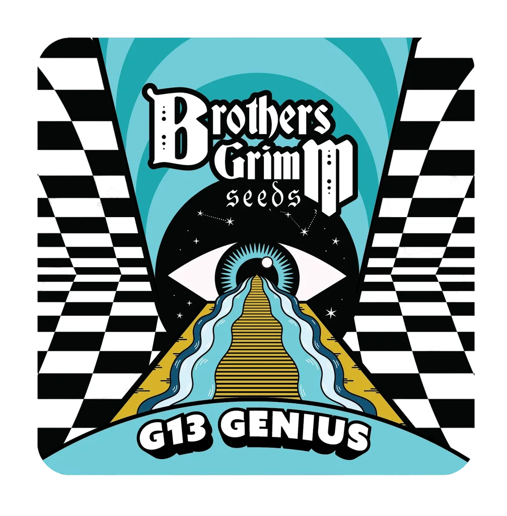G13 Genius – Produktansicht