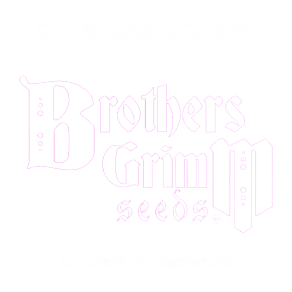 Genius Juice – Produktansicht