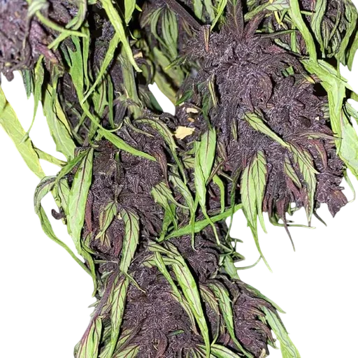 Glu CBD Auto