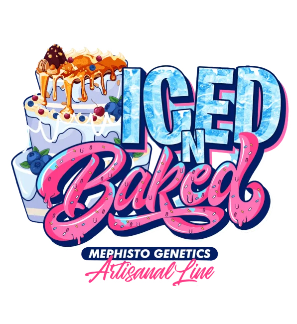 Iced n Baked Auto – Produktansicht