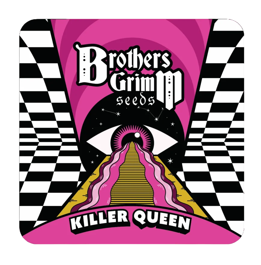 Killer Queen | PHOTOFEM | Brothers Grimm Seeds