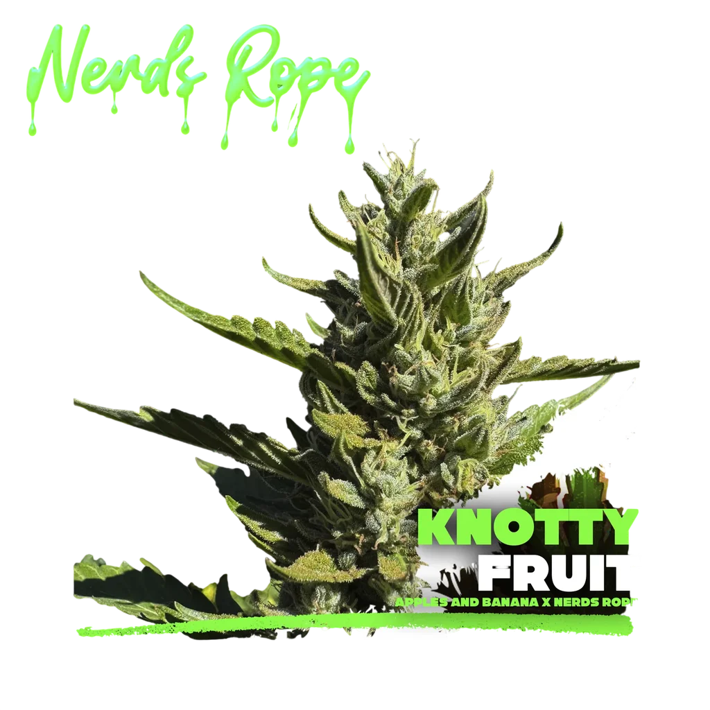 Knotty Fruit – Produktansicht