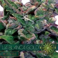 La Blanca Gold Auto