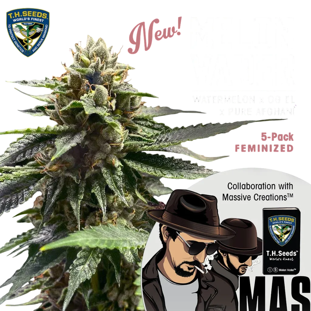 Melon Vader | PHOTOFEM | T.H. Seeds