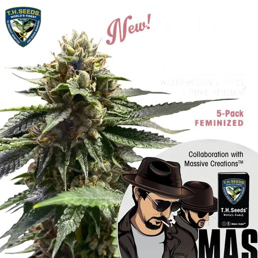 Melon Vader