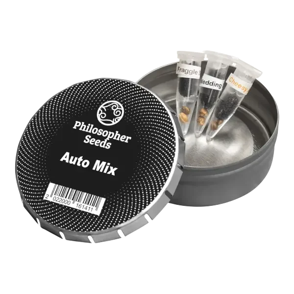 Mix Auto – Produktansicht