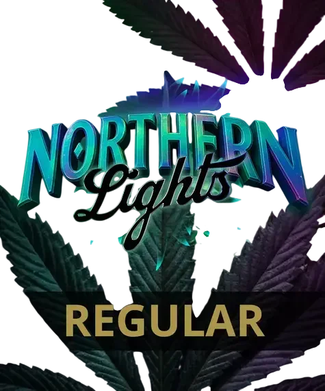 Northern Lights – Produktansicht