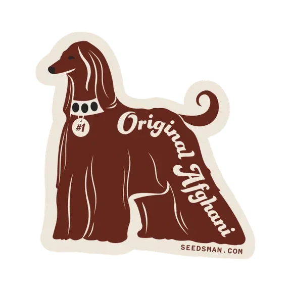 Original Afghani #1 – Produktansicht