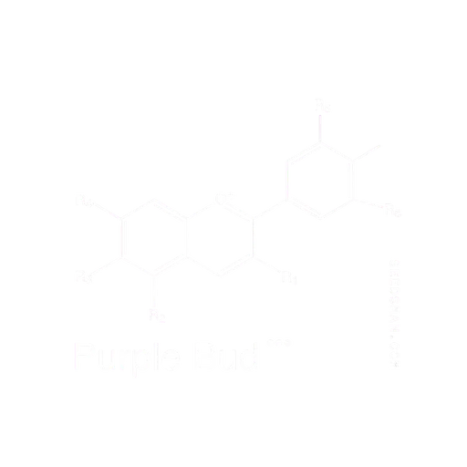 Purple Bud