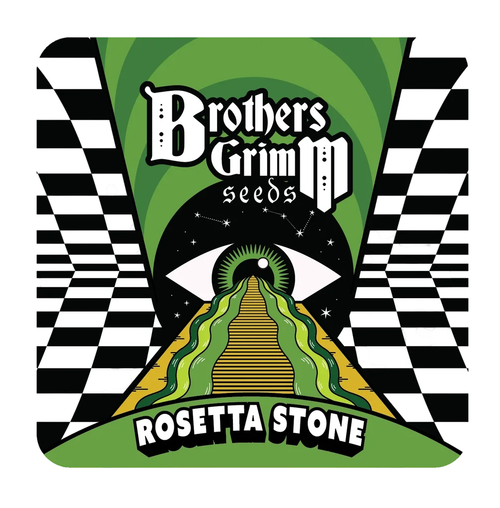 Rosetta Stone – Produktansicht
