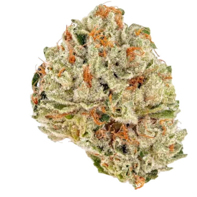 Socrates Sour – Produktansicht
