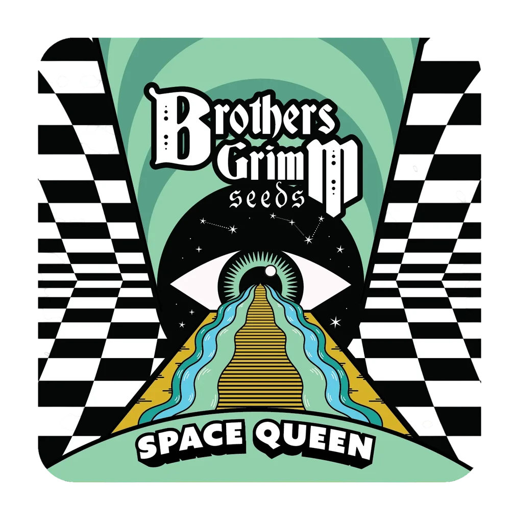 Space Queen – Produktansicht