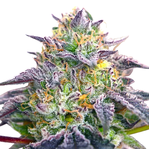 Spicy Guava