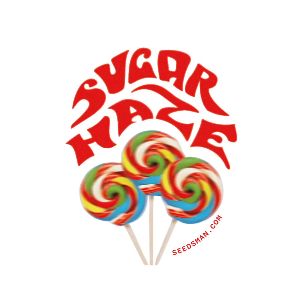 Sugar Haze – Produktansicht