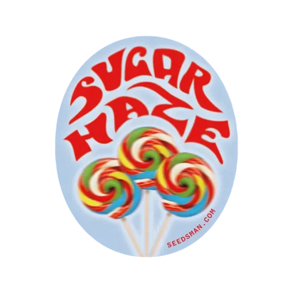 Sugar Haze – Produktansicht