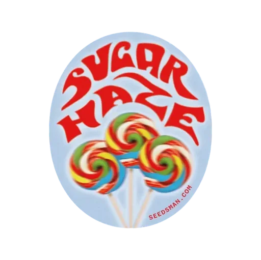Sugar Haze