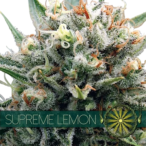 Supreme Lemon – Produktansicht