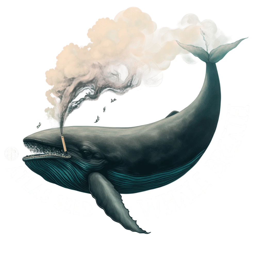 Whale Breath – Produktansicht