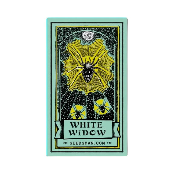 White Widow – Produktansicht