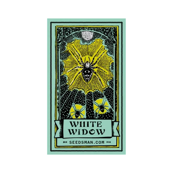 White Widow – Produktansicht