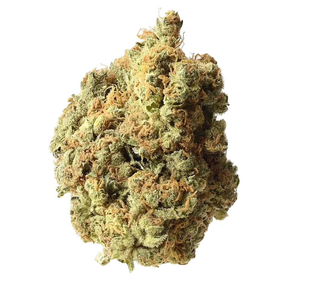 AK-020 Auto – Produktansicht