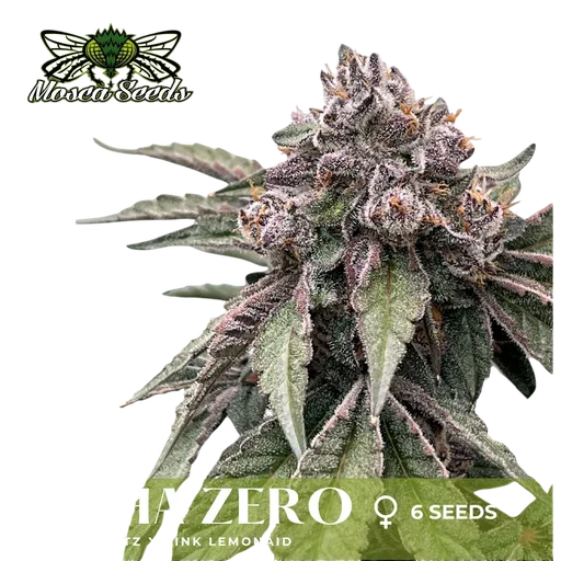 Alpha Zero