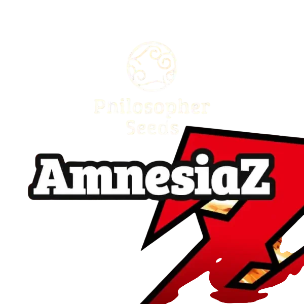 AmnesiaZ – Produktansicht