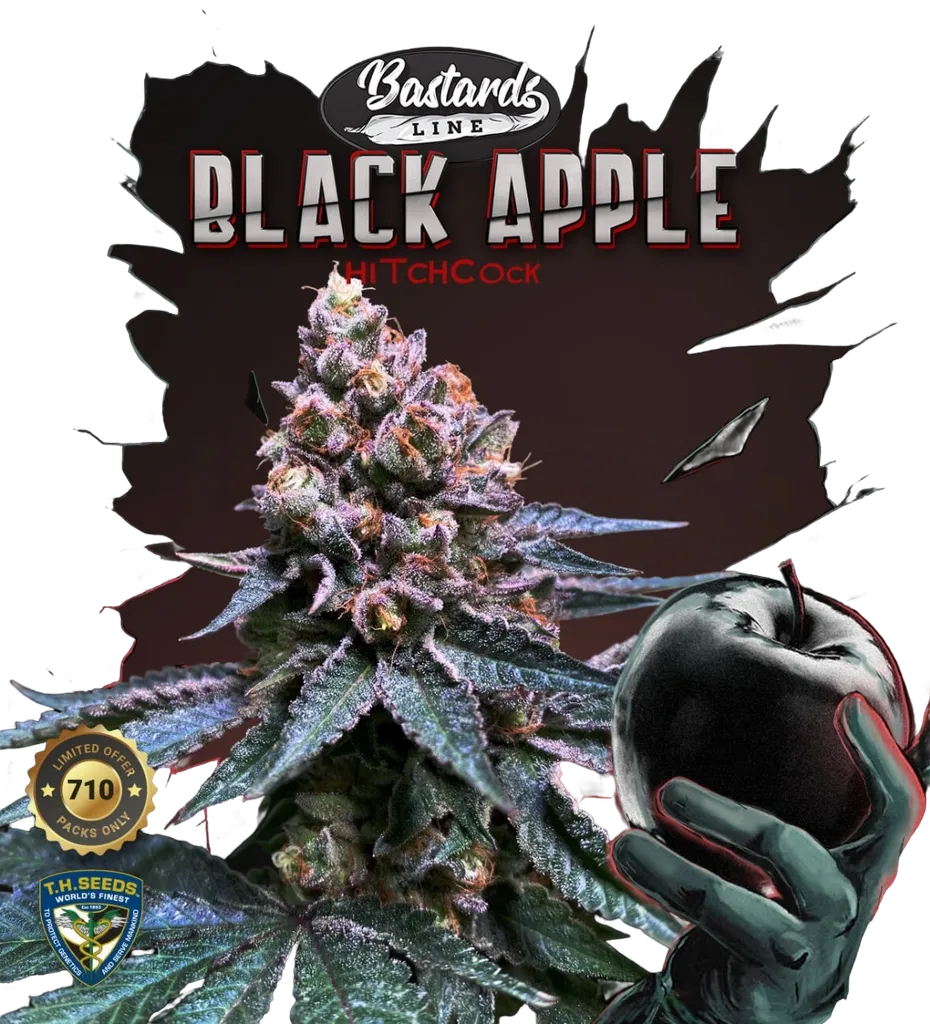 Black Apple Hitchcock | PHOTOFEM | T.H. Seeds