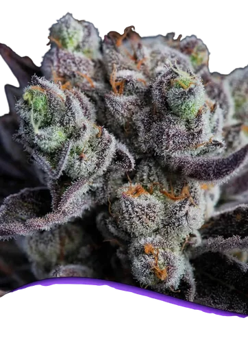 Blackberry Moonrocks