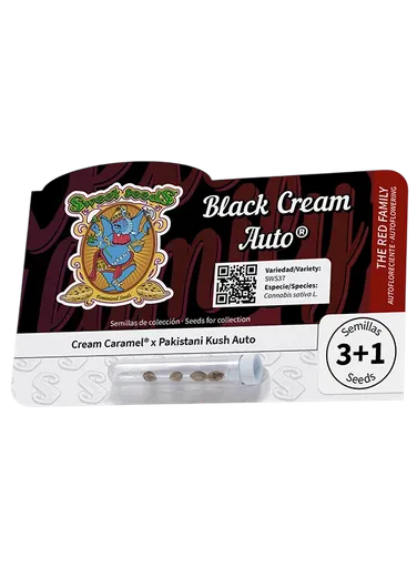 Black Cream Auto