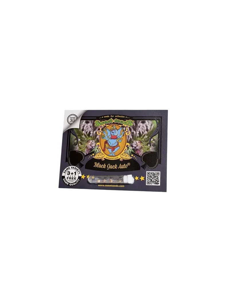 Black Jack Auto – Produktansicht