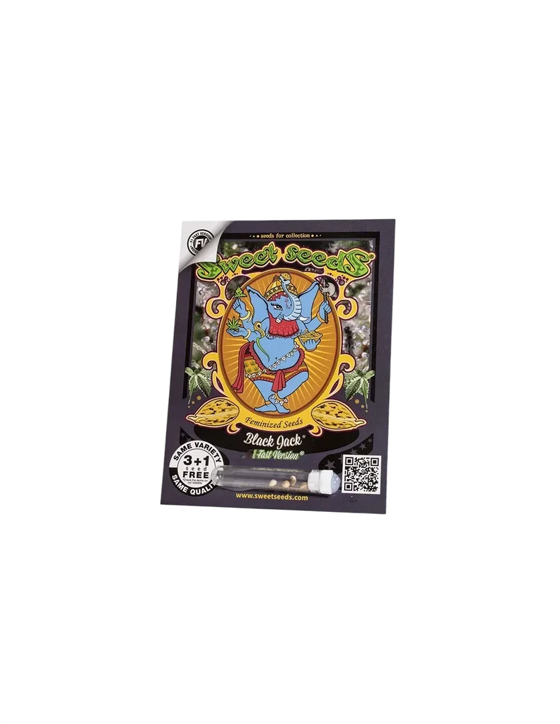 Black Jack F1 FAST Version – Produktansicht
