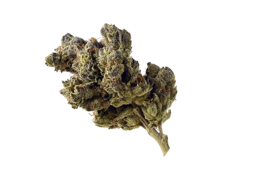 Blue Magic – Produktansicht