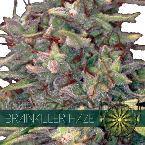 Brainkiller Haze – Produktansicht