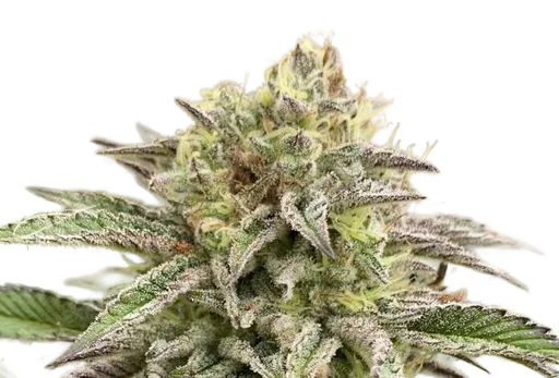 Break-Up Cake Auto