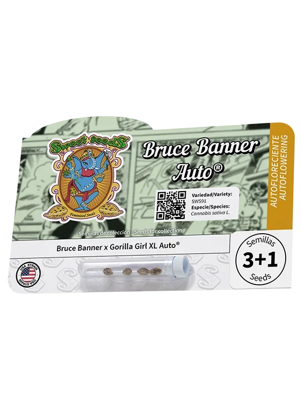 Bruce Banner Auto – Produktansicht