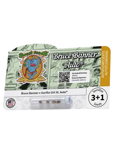 Bruce Banner Auto