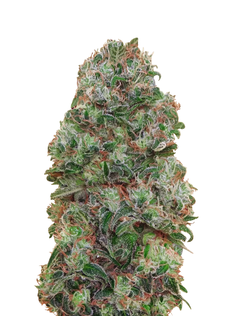 Bubble Gum – Produktansicht