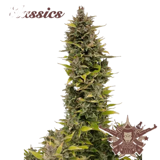 Buddha Classics AK