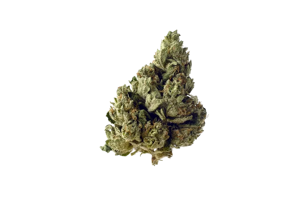 Choco Kush Auto – Produktansicht